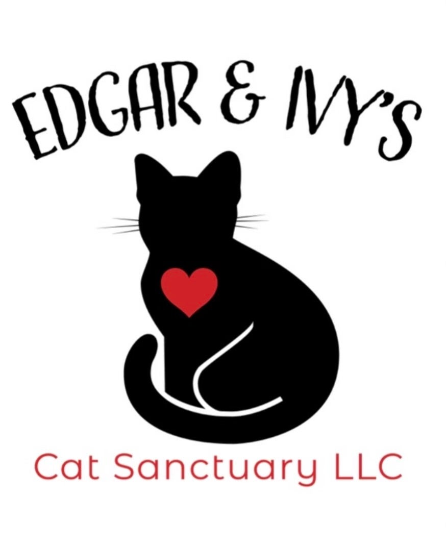 Edgar And Ivy Cat Sanctuary, Corpus Christi, Texas